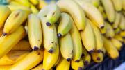 El truco casero para evitar que las bananas tengan insectos