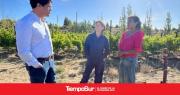 El Consejo Agrario Provincial recorrió el viñedo de Caleta Olivia