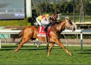 Queen Maxima derrochó clase para ganar Las Cienegas G3 en Santa Anita Park