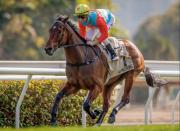 ¿Podrá igualar un récord que tiene 21 años?: Ka Ying Rising enfrentará a seis rivales Centenary Sprint Cup (Gr1) en Hong Kong