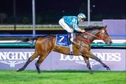 ¡Confirmado!: Romantic Warrior enfrentará a ocho rivales que incluye al triple coronado Voyage Bubble en el Stewards Cup Gr1 de una milla del 25 de enero