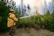 Incendios en la Patagonia: las lluvias trajeron algo de alivio y Milei salió a hacerse propaganda