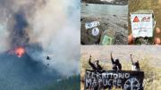 Patagonia: fiscal descartó que mapuches o israelíes hayan provocado los incendios