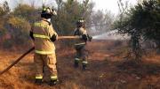 Alerta Roja para San José de Maipo por incendio forestal: Cinco casas afectadas y cerca de 80 personas evacuadas