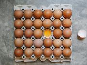 La producción de huevos creció casi 9% en 2025 y la Argentina se convirtió en el principal consumidor por habitante del mundo