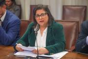 Diputada Marcia Raphael desmiente haber votado o presentado indicaciones de ley energética: Se inhabilitó del proceso