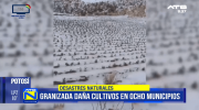 Granizada afecta a ocho municipios de Potosí y deja pérdidas agrícolas