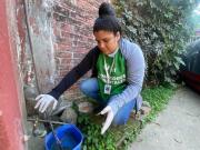 Operativos contra el dengue en San Miguel de Tucumán: los barrios y horarios de la semana