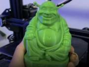 Veneró durante años una estatuilla de Buda y en realidad era un muñequito de Shrek
