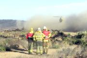 Tras horas de angustia y terror, incendio forestal fue contenido en Cauquenes: arrasó con 414 hectáreas