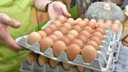 Argentina lidera el ranking mundial de consumo de huevos