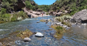 El río más cálido y cristalino, cactus y un paisaje de ensueño en la entrada a Valle Fértil
