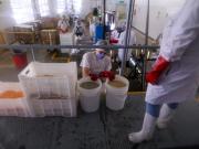 Banco Mundial: qué proyecta para la economía argentina en 2026