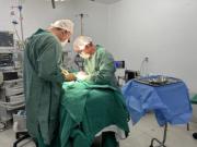 Un gemelo siamés murió durante la cirugía de separación, horas después de la pérdida de su hermano