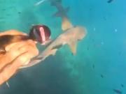 La mordió un tiburón mientras hacía snorkel: el video del ataque y el relato de la buceadora