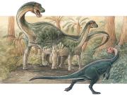 Descubren una nueva especie de dinosaurio: el especial homenaje que le hicieron con el nombre