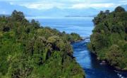 Río Bueno, el plan piloto que busca cambiar cómo Chile cuida y usa su naturaleza