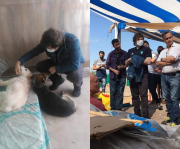 El refugio de perros que visitó Javier Milei en Godoy Cruz tiene un serio problema