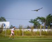 De prescindible a alternativa: el radical cambio de situación de un jugador de Gimnasia