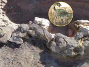 Científicos del CONICET descubrieron una nueva especie de dinosaurio: los detalles