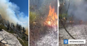 Incendios en la Patagonia argentina no cesan y ya han arrasado 21.000 hectáreas