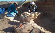 Vivió hace 90 millones de años: qué dinosaurio nuevo encontraron científicos del CONICET en Neuquén