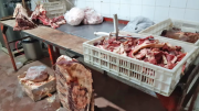 Allanaron una carnicería acusada de vender carne de gato