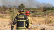 Piden evacuar sector de Ránquil por incendio forestal en Ñuble