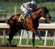 ¡Atentos, muy atentos! Este ejemplar quedó listo para repetir en la California Cup Sprint