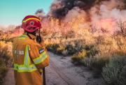 Prender fuego en Mendoza puede costarte hasta 70 millones de pesos