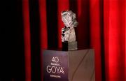 Conoce la lista de nominaciones de la 40 edición de los Premios Goya