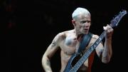 Flea, bajista de Red Hot Chili Peppers, anuncia su primer álbum solista ‘Honora’ con colaboraciones estelares