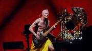 Flea de Red Hot Chili Peppers presentó “Honora”, su álbum debut como solista