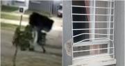Video: así ladrones se llevaron varios objetos robados de una casa en Rawson