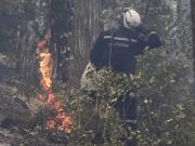 Patagonia: crónica de otro incendio anunciado