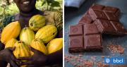 Atención adictos al chocolate: El precio del cacao sigue bajando tras desplomarse en 2025