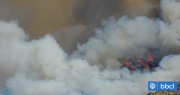 Declaran Alerta Roja para Lumaco y Purén por incendios forestales