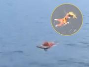 Brasil: un pescador sobrevivió casi un día aferrado a la puerta de una heladera tras un naufragio