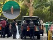 Operativo en Palermo por el hallazgo de un proyectil de artillería