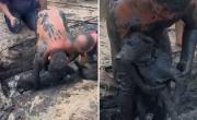 Preocupación y alegría por Capitán: un perro de tres meses cayó a un desague pero lograron rescatarlo
