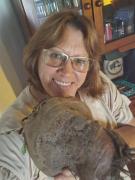 Impresionante: cosechan una remolacha gigante de más de 2 kilos y es uruguaya