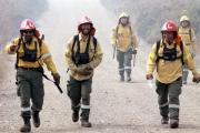 Incendios en la Patagonia: sin focos activos en Río Negro, la provincia previene y suma 50 brigadistas al SPLIF  