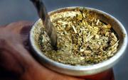 La yerba mate, una aliada contra la osteoporosis