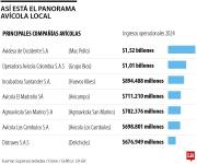 Consumo per cápita de huevo al año pasó de 198 unidades a 365 en la última década