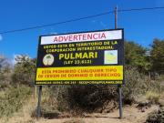 Construcciones pegadas a las araucarias: polémica en Pulmarí por venta ilegal de tierras