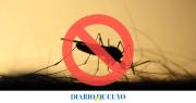 Adiós a los mosquitos: la técnica que gana popularidad para proteger el hogar