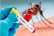 Minsa emite alerta epidemiológica en 10 regiones por incremento del dengue