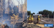 Amenaza inminente a 20 viviendas: ordenan evacuar sector La Isla en Los Ángeles por incendio forestal