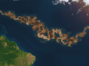 Qué es la franja marrón en el Atlántico