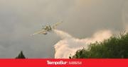 Incendios en Patagonia: control, prevención y restauración